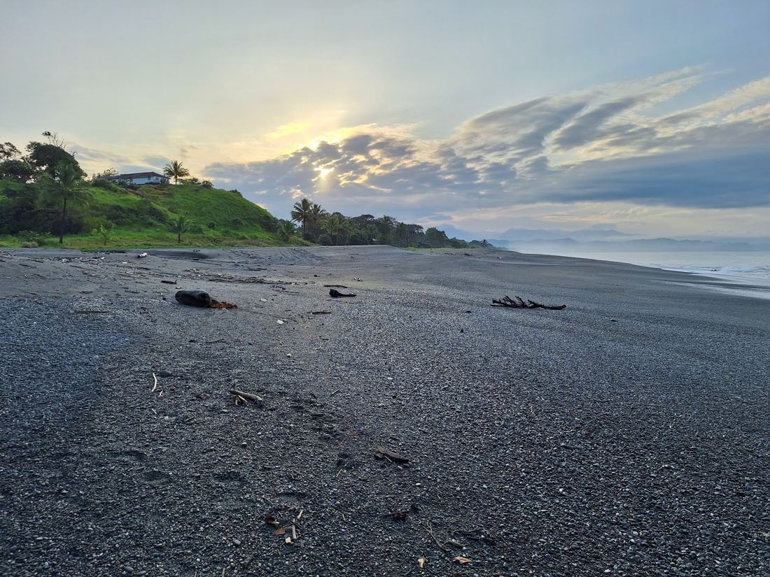 Black-sand beach below the house