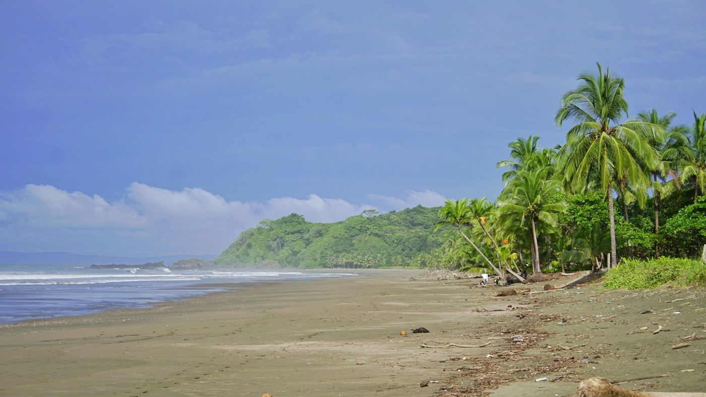 The beach below the house