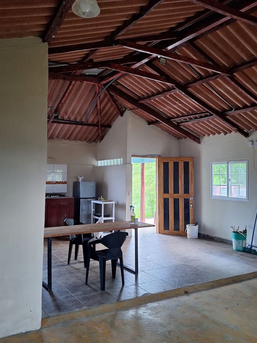 Living and dining area