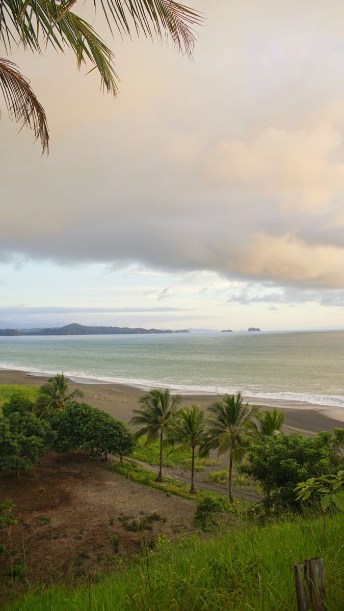 The bay from the hill